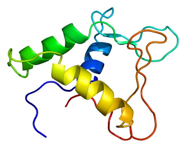 Available structures of Fli-1. 